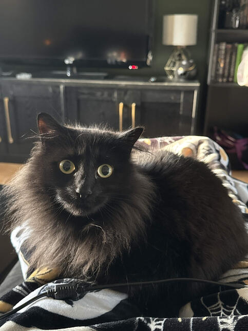 Onyx Onyx